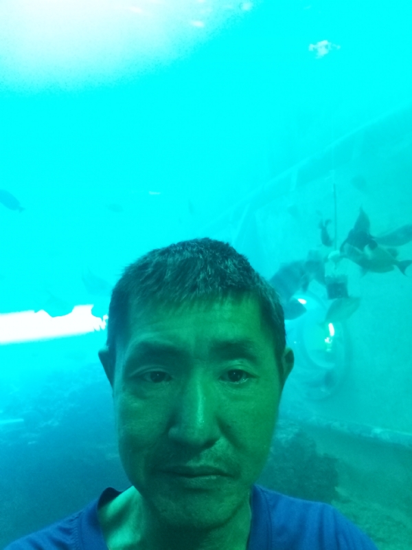 陸戰隊的第一张照片--承德相亲服务中心