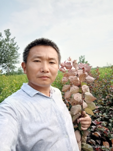 孩子爸的第一张照片--承德相亲服务中心
