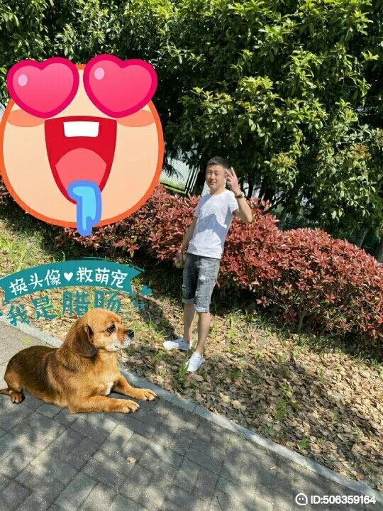 我若不坚强谁替我勇敢的第五张照片--承德相亲服务中心