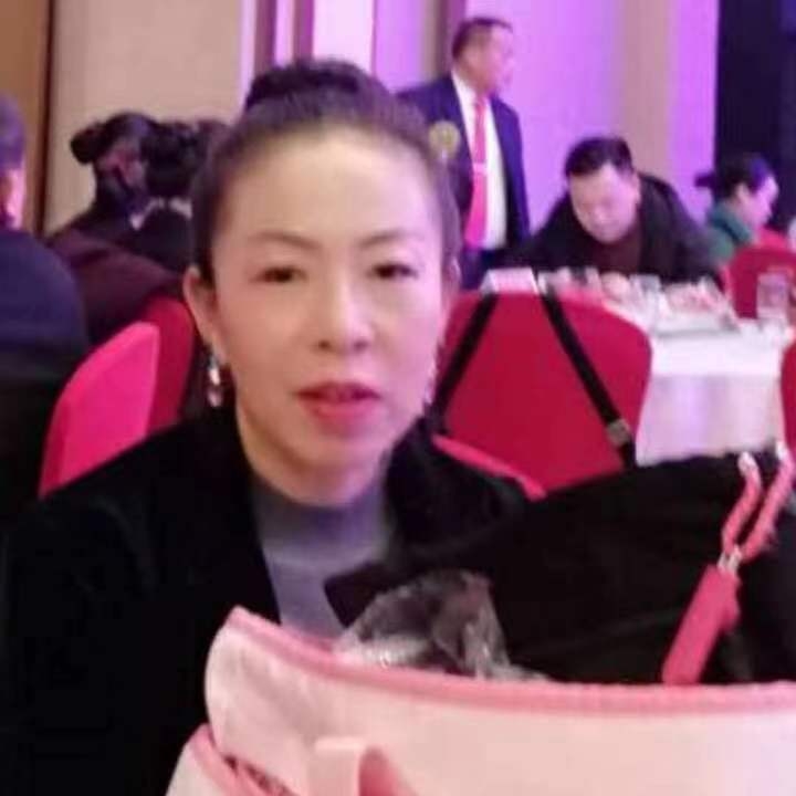 中秋桂花玉兔的第四张照片--承德相亲服务中心
