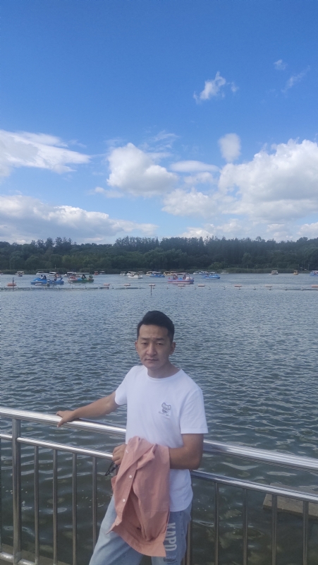 脱了壳的龟的第一张照片--承德相亲服务中心