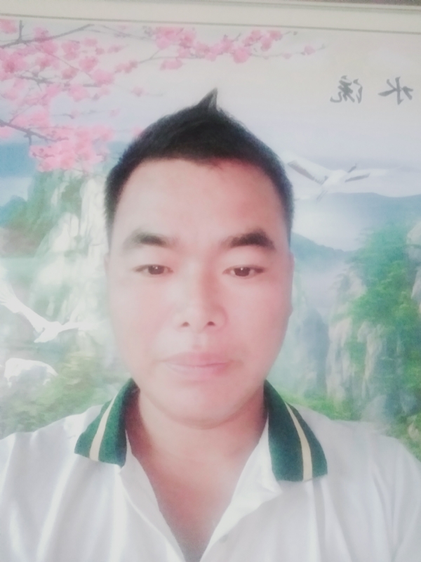 阳光男孩的第二张照片--承德相亲服务中心